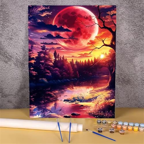 Umfarvt Malen Nach Zahlen Rot, Sonne Malen Nach Zahlen Erwachsene, DIY Handgemalt Ölgemälde Kit mit Pinseln und Acrylfarben Ölgemälde Leinwand für Home Decor DIY Framed 40x50cm von Umfarvt