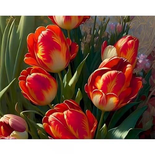 Umfarvt Malen Nach Zahlen Rot, Tulpe Malen Nach Zahlen Erwachsene, DIY Handgemalt Ölgemälde Kit mit Pinseln und Acrylfarben Ölgemälde Leinwand für Home Decor DIY Framed 60x75cm von Umfarvt