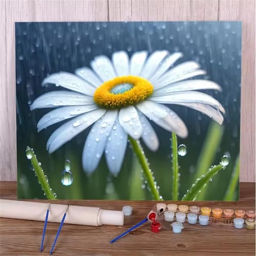 Umfarvt Malen Nach Zahlen Weiß, Gänseblümchen Malen Nach Zahlen Erwachsene, DIY Handgemalt Ölgemälde Kit mit Pinseln und Acrylfarben Ölgemälde Leinwand für Home Decor DIY Framed 50x65cm von Umfarvt