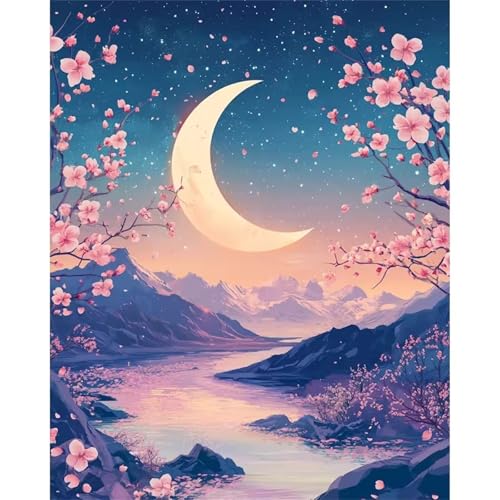 Umfarvt Mond Malen Nach Zahlen Erwachsene,Landschaft Malen Nach Zahlen,Without Framed inklusive Pinsel und Acrylfarben DIY handgemaltes Ölgemälde Set für Anfänger für Home Decor 40x50cm von Umfarvt