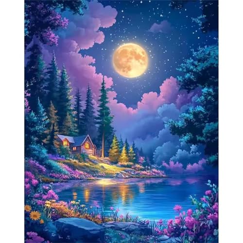 Umfarvt Mond Malen Nach Zahlen Erwachsene,Nachtaufnahme Malen Nach Zahlen,Without Framed inklusive Pinsel und Acrylfarben DIY handgemaltes Ölgemälde Set für Anfänger für Home Decor 45x60cm von Umfarvt