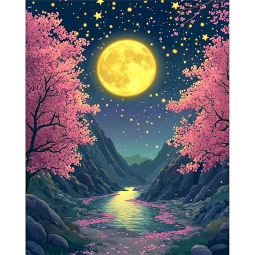 Umfarvt Mond Malen Nach Zahlen Erwachsene,Sterne Malen Nach Zahlen,Without Framed inklusive Pinsel und Acrylfarben DIY handgemaltes Ölgemälde Set für Anfänger für Home Decor 45x60cm von Umfarvt