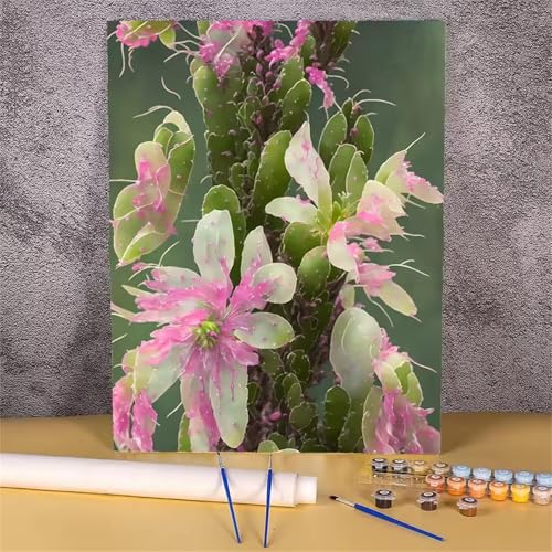 Umfarvt Rosa Malen Nach Zahlen Erwachsene,Anlage Malen Nach Zahlen,Without Framed inklusive Pinsel und Acrylfarben DIY handgemaltes Ölgemälde Set für Anfänger für Home Decor 30x40cm von Umfarvt