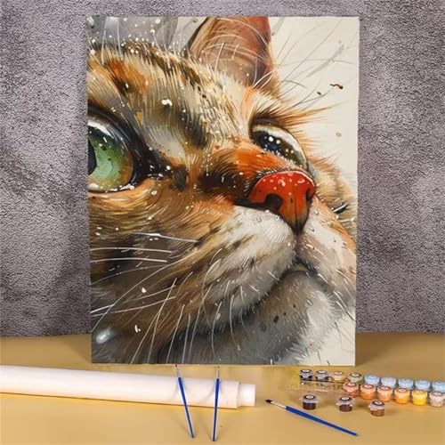 Umfarvt Tierkatze Malen Nach Zahlen Erwachsene,Paint by Numbers Adult,DIY Framed DIY mit Pinseln und Acrylfarben Handgemalt Ölgemälde Leinwand für Home Wand Dekor 45x60cm von Umfarvt