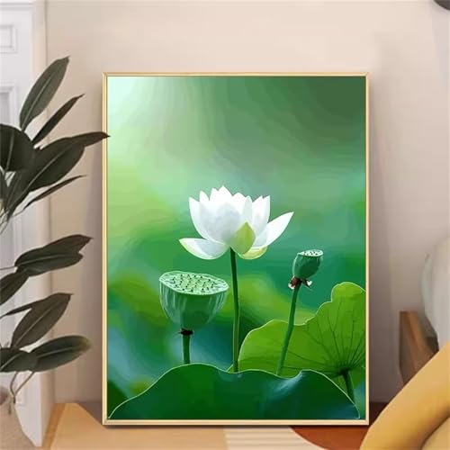 Umfarvt Weißer Lotus Malen Nach Zahlen Erwachsene,Paint by Numbers Adult,DIY Framed DIY mit Pinseln und Acrylfarben Handgemalt Ölgemälde Leinwand für Home Wand Dekor 50x65cm von Umfarvt