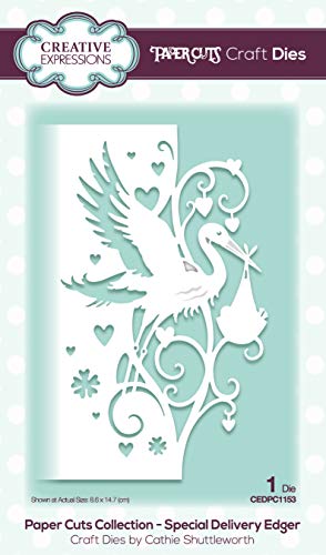 Stanzformen Paper Cuts Craft die edger Special delivery Metall-Schablone zum Stanzen - Für DIY-Papier-Designs, Karten, Bullet Journal, kompatibel mit den meisten Prägemaschinen, Die size 14.7 x 8.6 cm von Unbekannt