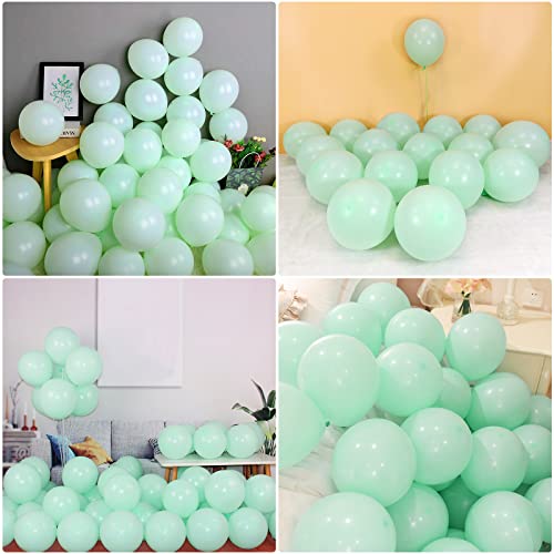 12 Zoll Grüne Pastellballons, 20er Pack Mintgrüne Macaron Latex Creme Luftballons, Party Ballon Girlande für Hochzeit Verlobung Jubiläum Baby Shower Geburtstag Dekorationen von Unisun