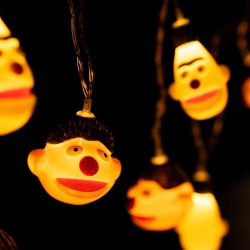 Sesamstraße Ernie & Bert LED Lichterkette 2m mit 10 LEDs warmweiß batteriebetrieben Deko für innen USB-C Anschluss von United Labels