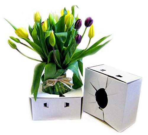 United Wholesale Flowers Kartonversandkartons l Blumenversandbox l Vasenkartons Karton für Lieferung l Floristen-Lieferboxen (10) von United Wholesale Flowers