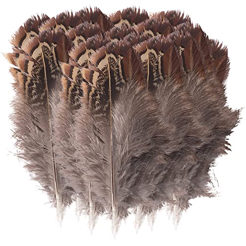 Uposao 100 Stück Fasan Federn, 5-8cm Natürliche Hühnerfeder Türkei Feder zum Basteln Dekorationen für Kostüm,Taschen,Ohrringe Dekoration,DIY Dream Catcher,Hochzeitsfest Home Party Dekoration，Braun von Uposao