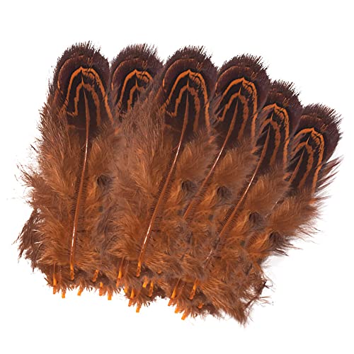 Uposao 100 Stück Fasan Federn, 5-8cm Natürliche Hühnerfeder Türkei Feder zum Basteln Dekorationen für Kostüm,Taschen,Ohrringe Dekoration,DIY Dream Catcher,Hochzeitsfest Home Party Dekoration，Orange von Uposao