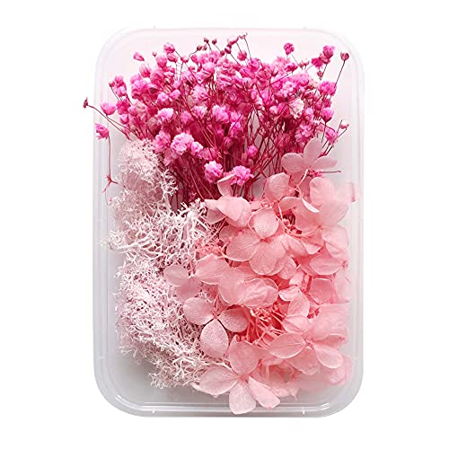 Uposao Natürliche Getrocknete Blumen, DIY Gepresste Blumen Gemischte Getrocknete Blätter Blumen Set für Epoxidharz Deko,Kunst Basteln DIY Harz Scrapbooking Handwerk Karten Machen Zimmer Tischdeko von Uposao