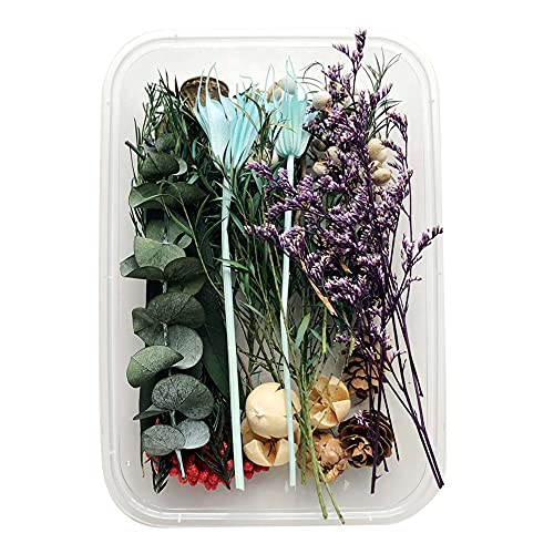 Uposao Natürliche Getrocknete Blumen, DIY Gepresste Blumen Gemischte Getrocknete Blätter Blumen Set für Epoxidharz Deko,Kunst Basteln DIY Harz Scrapbooking Handwerk Karten Machen Zimmer Tischdeko von Uposao