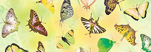Transparentpapier "Schmetterlinge gelb" 5 Blatt, 115g/qm DIN A4 von Ursus