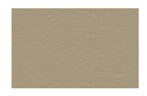 Ursus 2174676 - Tonzeichenpapier taupe, DIN A4, 130 g/qm, 100 Blatt, durchgefärbt, hohe Farbbrillanz und Lichtbeständigkeit, aus Frischzellulose, ideale Grundlage für zahlreiche Bastelarbeiten von Ursus