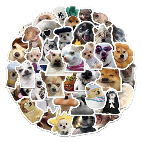 60 Stück Hunde Aufkleber,Meme Sticker,Lustige Sticker,Cute Sticker,Schöne Aufkleber Für Hundeliebhaber,Ideal Für Wasserflaschen,Skateboards,Snowboards,Sammelalben,Computer Und Telefone von Uzndq