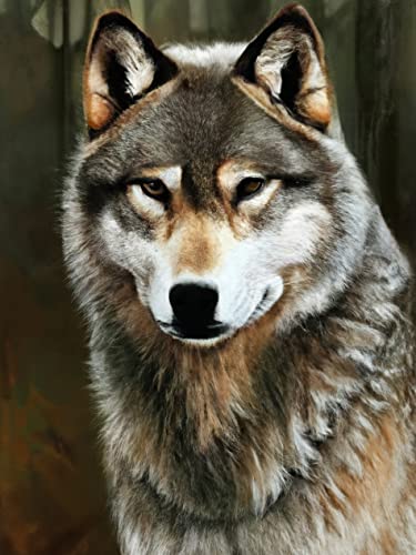 VAIIEYO DIY 5D Diamond Painting Wolf, Diamant Painting Bilder Malerei Kits Tier, Malen Nach Zahlen Diamant Home Wand Decor Gemälde Kreuzstich Diamond Dekoration 30x40 cm von VAIIEYO