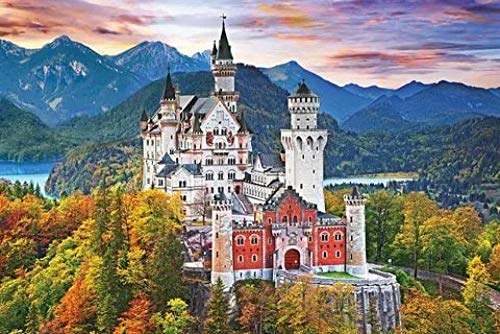 VAKUUM 5D DIY Diamant Painting Full Drill für Erwachsene und Kinder Schloss Neuschwanstein Diamant Malerei Home Dekoration Geburtstagsgeschenke50*60CM von VAKUUM