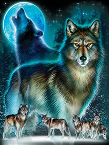 VAKUUM DIY 5D Diamond Painting Kits for Adults Full Drill Wolf Diamond Art for Home Wall Decor Gift,Round Drill, 50 * 60cm von VAKUUM