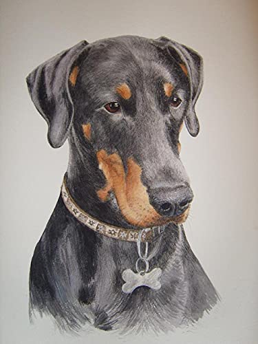 Diamant Painting Kinder 5D Diamond Painting Kits, Dobermann Hund DIY Malen Nach Zahlen Erwachsene Diamant Malerei Geburtstagsgeschenke30*40CM von VAKUUM