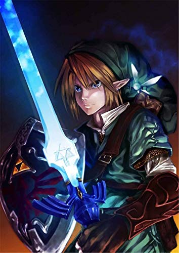 VAKUUM Diamond Painting Kits for Adults DIY Legend of Zelda Diamond Art 5D Paint with Diamonds Full Drill Gem Art Cross Stitch Arts Embroidery Home Wall Decoration 50 * 60cm5D20m von VAKUUM