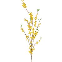 VBS Forsythien Zweig "Fotini" von Gelb