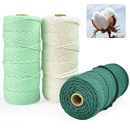 VCRANONR 3 Stück Makramee Garn Set 3mm x 100m Baumwollfaden Natürliche Baumwollgarn schmücken Baumwollschnur DIY Handwerk Makramee Kordel Gardinen Baumwollkordel für Pflanzenaufhänger, Wandbehang von VCRANONR