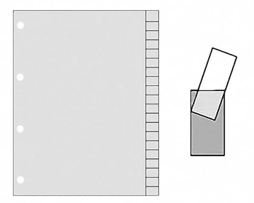 VEPATIM 15 Ordnerregister A4 Blanko 20 Registerblätter zum Selbstbeschriften grau 20tlg. von VEPATIM