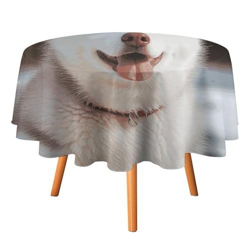 VFKLT Runde Tischdecke, Husky-Hund, bedruckt, Polyester, maschinenwaschbar, dekorative Tischdecken, Outdoor-Tischdecke für Terrasse, Party, Halloween, 127 x 127 cm von VFKLT