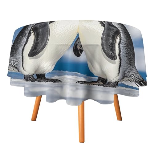 VFKLT Runde Tischdecke, Pinguine im Schnee, bedruckte Polyester-Tischdecke, maschinenwaschbar, dekorative Tischdecken, Outdoor-Tischdecke für Terrasse, Party, Halloween, 127 x 127 cm von VFKLT