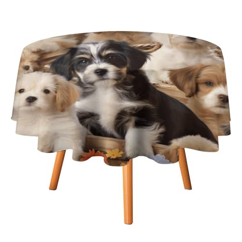 VFKLT Runde Tischdecke, niedliche Hunde-bedruckte Polyester-Tischdecke, maschinenwaschbar, dekorative Tischdecken, Outdoor-Tischdecke für Terrasse, Party, Halloween, 127 x 127 cm von VFKLT