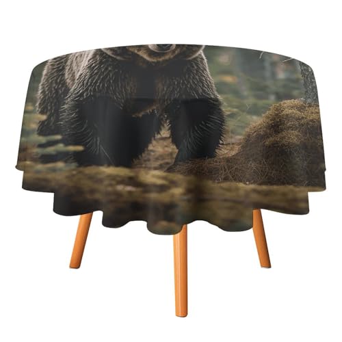 VFMKT Braunbär-Tischdecke, rund, 178 x 177,8 cm, wasserdicht, knitterfrei, schmutzabweisend, waschbar, Tischdecke für Picknick, Party, Esszimmer, Heimdekoration von VFMKT