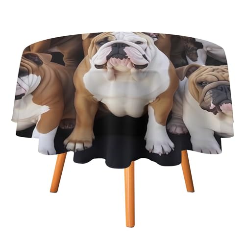 VFMKT Runde Tischdecke mit englischen Bulldoggen, 178 x 177,8 cm, wasserdicht, knitterfrei, schmutzabweisend, waschbar, Tischdecke für Picknick, Party, Esszimmer, Heimdekoration von VFMKT