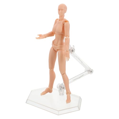 VICASKY Charaktermodell Malen Figurenmodellbausätze Kunstzeichnungsmodell Figurenzeichnungsmodell Robuster Actionfigurenständer Schaufensterpuppe Mit Gelenken Figur Zeichnen PVC von VICASKY