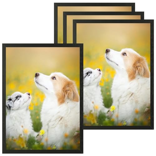 VIIBASE 30x40cm Zertifikat Bilderrahmen,Schwarzer Holz Fotorahmen,Posterrahmen mit Plexi-glas für Wandmontage Display,12x16 4er Set von VIIBASE