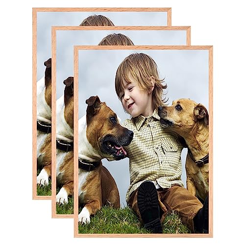 VIIBASE A3 OAK Zertifikat Bilderrahmen,EICHE Holz Bilderrahmen,Posterrahmen mit Plexiglas für Wandmontage Display,29.7x42 cm,Set von 3 von VIIBASE