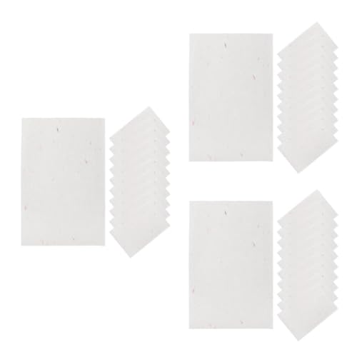 VILLCASE 3 Sätze Reis Papier Xuan Papier Transfergel Für Tätowierungsschablonen Handgeschöpftes Material Papier Seidenpapier Zum Basteln Papierleute Chinesen Xuan-Papier Weiß 20 Stück * 3 von VILLCASE