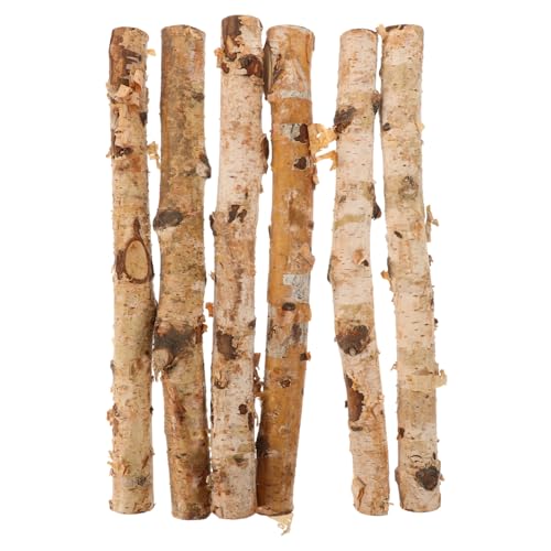 VILLFUL 6 Stück Birkenstäbchen DIY Bastelmaterial Holzzweige Sticks DIY Herstellungszubehör Zweige Stäbchen Zum Basteln DIY Bastelzubehör DIY Holzstäbchen Holzstäbchen Zubehör von VILLFUL