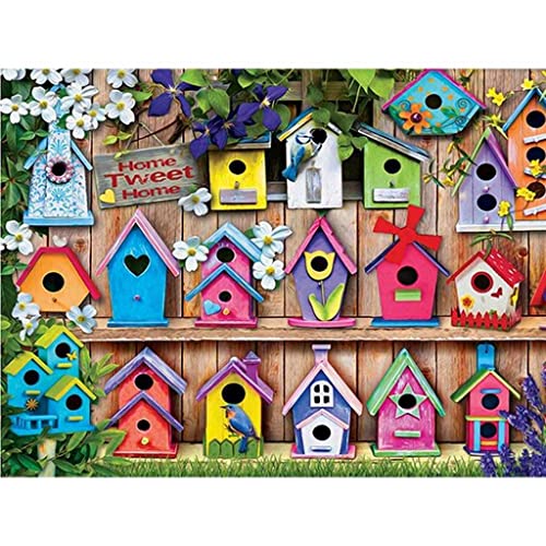 VNLMKS 5D Diamant Malerei Kits, DIY Diamond Painting Vollbohrer Crystal Strass Stickerei Buntes Vogelhaus der Karikatur Runde Bohrer Erwachsene Kinder für Büro Wand Haus Dekoration 30x40cm von VNLMKS