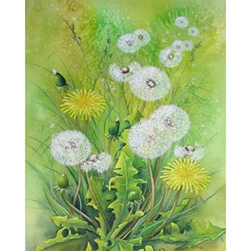 VNLMKS 5D Diamond Painting Erwachsene Kits DIY Diamant Malerei Set Komplette Strassstein Stickerei Crystal Strass Malerei Grüner Löwenzahn für Haus, Wand, Eingang Dekorationen 30x30cm von VNLMKS