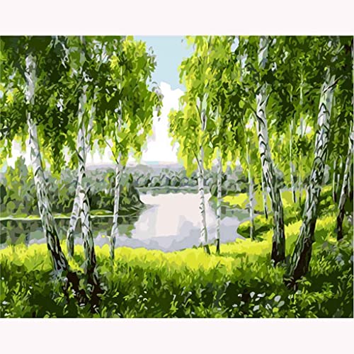 VNLMKS DIY 5D Diamant Malerei Kit, Voller Diamond Painting Anfänger Kreuzstich Birkenwald Landschaft Nach Zahlen Diamant Painting Arts Craft Gemälde für Home Wanddekoration (40x50cm) von VNLMKS