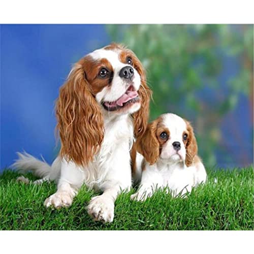 VNTEN Cavalier King Charles Spaniel, vorgedrucktes Kreuzstich-Set, 11 CT, gestempeltes Kreuzstich-Set für Erwachsene, Kunststickerei für die Heimdekoration, 30 x 40 cm von VNTEN