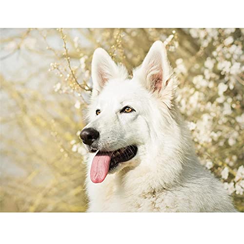 VNTEN DIY 5D Diamant Malerei Set Tier Hund Diamond Painting Große Erwachsene/Kinder Kristall Strass Stickerei Kreuzstich Leinwand für Zuhause Wanddekoration Geschenk, Round Drill,40x40cm von VNTEN