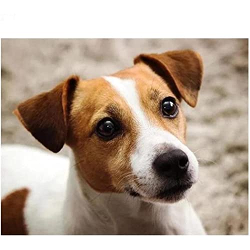 VNTEN Kreuzstich-Stickerei-Set mit Jack Russell Terrier, vorgedrucktes Kreuzstich-Set für Wohnzimmer, Schlafzimmer, Kunstdekoration, 50 x 50 cm von VNTEN