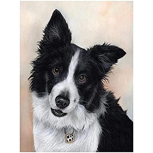 VNTEN Vorgedruckter 11CT-Stoff-Kreuzstich, Border Collie, Kreuzstich-Set, gestempelt, DIY, Anfänger, Erwachsene, Kinder, Heimdekoration, 30 x 40 cm von VNTEN