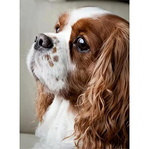 VNTEN Vorgedrucktes Kreuzstich-Set für Erwachsene und Anfänger, Cavalier King Charles Spaniel, DIY-Wandkunst-Dekor für Anfänger und Kinder, Handarbeit, einfache Anfänger, 40 x 50 cm von VNTEN