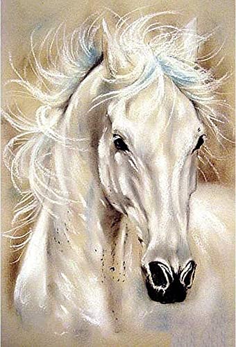 VRLMUOTF Diamond Painting Für Erwachsene Und Kinder 40X60Cm Pferde Pferd Tiere 5D Diamond Painting Kits Für Wohnzimmer- Und Schlafzimmerwanddekoration von VRLMUOTF