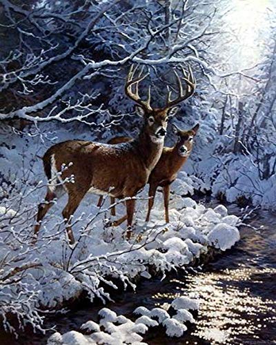 VRLMUOTF Hirsch Elch Reh Tiere Daiments Painting Für Wohnzimmer- Und Schlafzimmerwanddekoration 5D Diamond Painting Kits Für Erwachsene Und Kinder 40X60Cm von VRLMUOTF