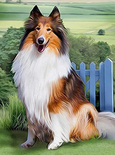 VRLMUOTF Hundemotiv Tiere Diamond Painting Anfänger Für Geburtstage Und Feiertage Für Wohnzimmer- Und Schlafzimmerwanddekoration 5D Diy Diamond Painting Kits Für Kinder Und Erwachsene 50X70Cm von VRLMUOTF