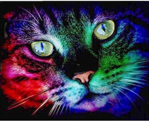 VRLMUOTF Katze Katzen Tiere Diamond Painting Set Kinder Für Geburtstage Und Feiertage Für Wohnzimmer- Und Schlafzimmerwanddekoration 5D Diy Diamond Painting Kits Für Kinder Und Erwachsene 30X40Cm von VRLMUOTF